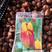 荷兰进口郁金香种球郁金香郁金香盆栽种球