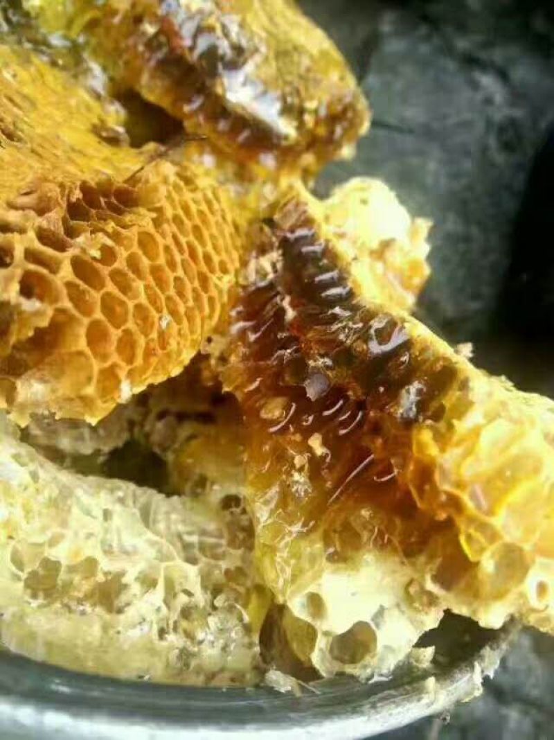 农家野生土蜂蜜有需要的联系我