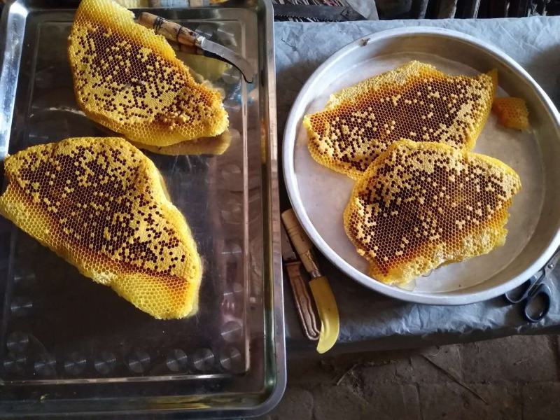 农家野生土蜂蜜有需要的联系我