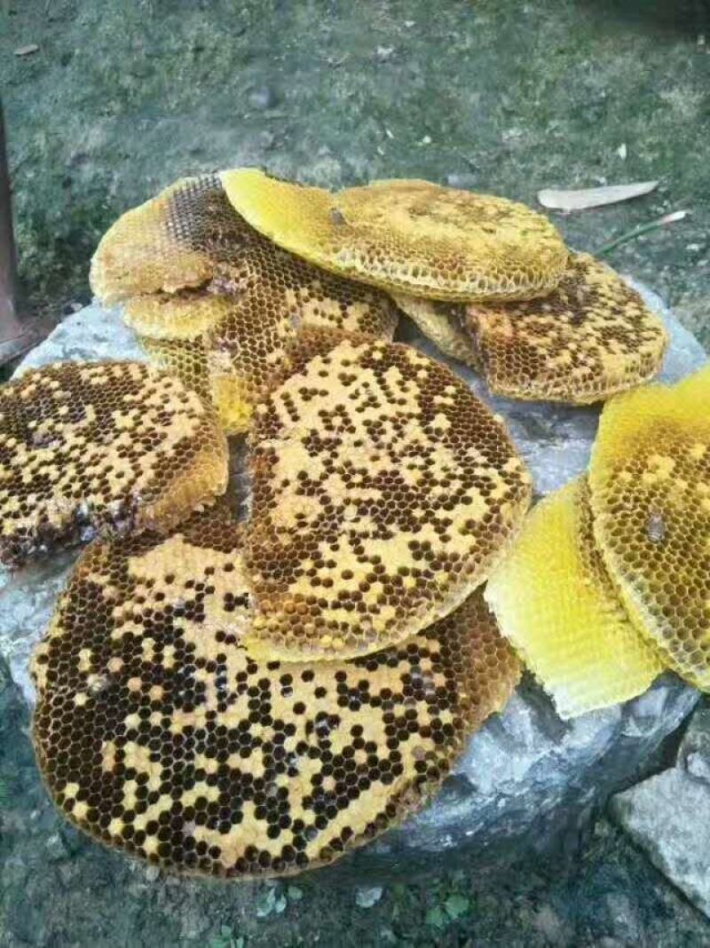 农家野生土蜂蜜有需要的联系我