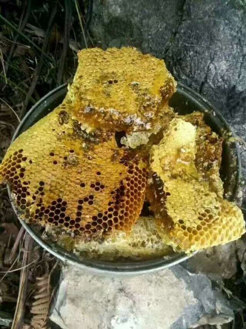 农家野生土蜂蜜有需要的联系我