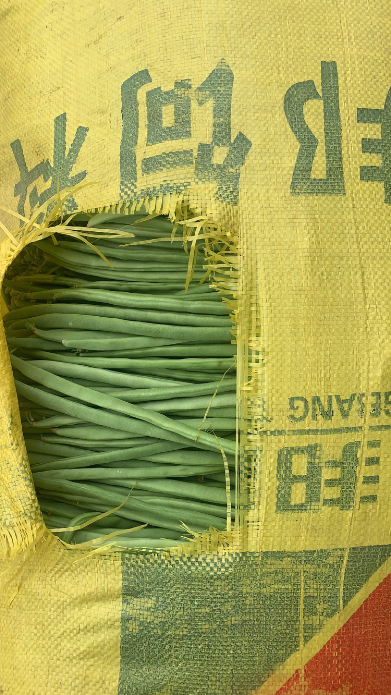 小金豆，刚上市的小金豆白豆