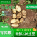 【精选】226土豆河北土豆产地直供价格优惠欢迎选