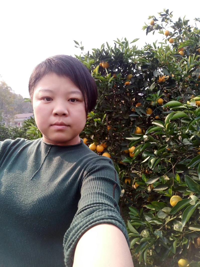 【畅销脐橙】湖南纽荷尔脐橙加密品质有保证。产地直发