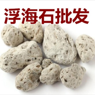 振兴药材批发供应浮海石产地直销批发大货浮海石