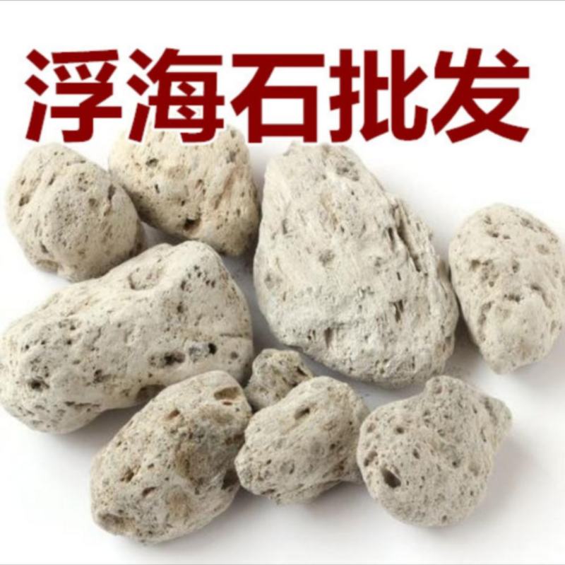 振兴药材批发供应浮海石产地直销批发大货浮海石