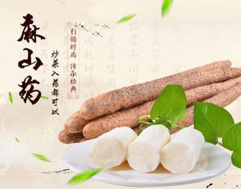 【热卖中】河北麻山药产地直达供应商超批发市场大量供货