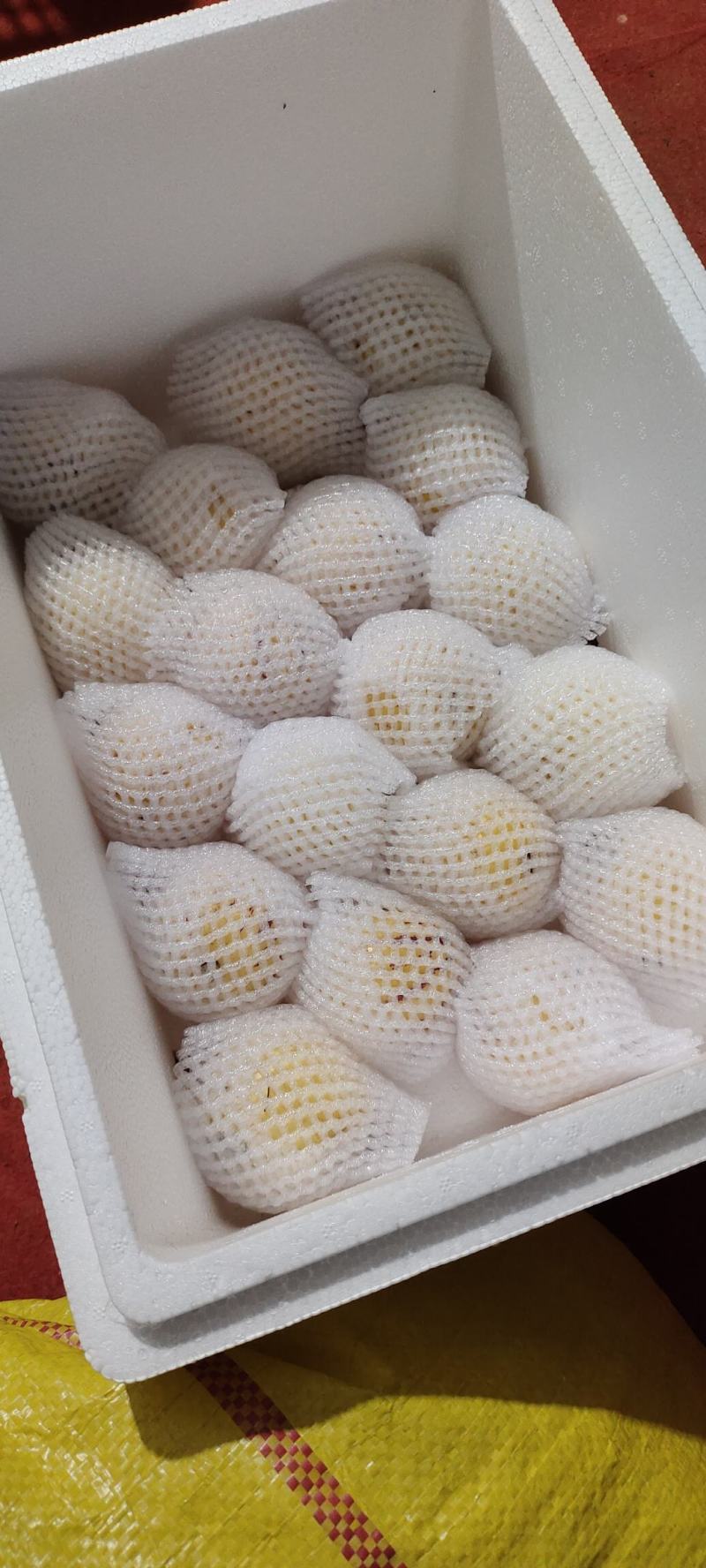 石林人参果，树上熟的，货源充足