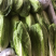 沙拉菜罗马生菜包罗罗心罗纹生菜沙拉菜