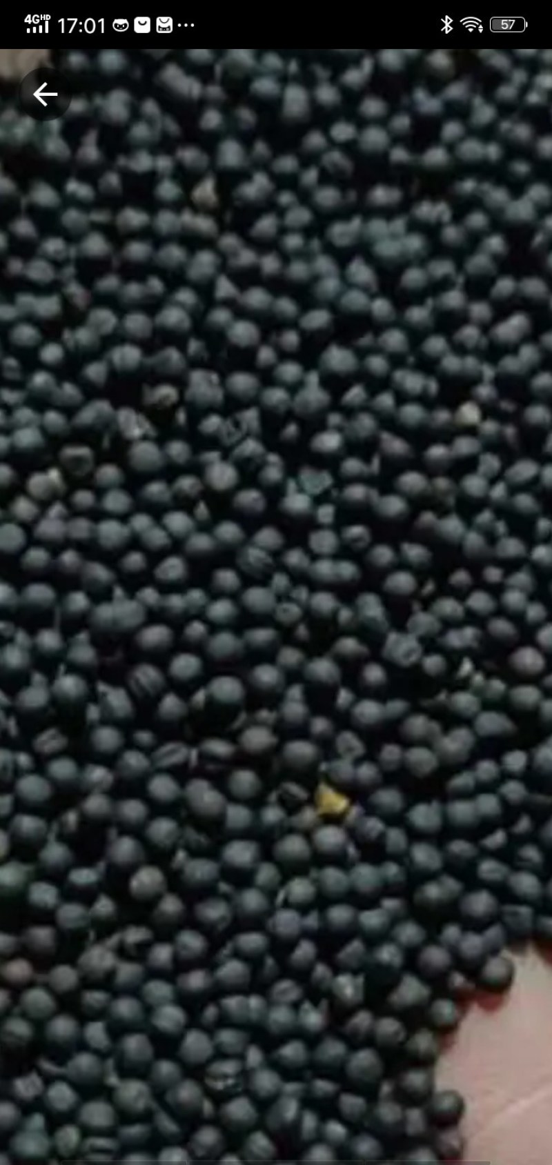 纯菜籽油假一赔十保证质量农村种植菜籽无泥沙干净。