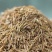 新疆特产孜然粒烧烤调料羊肉调味免费磨粉5斤包邮撒料腌料烤