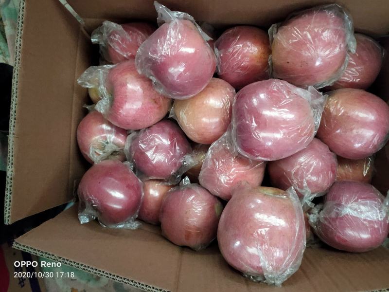 冰糖心苹果，膜袋红富士苹果，对接电商，产地直发便宜苹果
