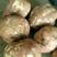 产地直供，龙九工厂红薯，大头，次品可做薯片，薯条质量保证