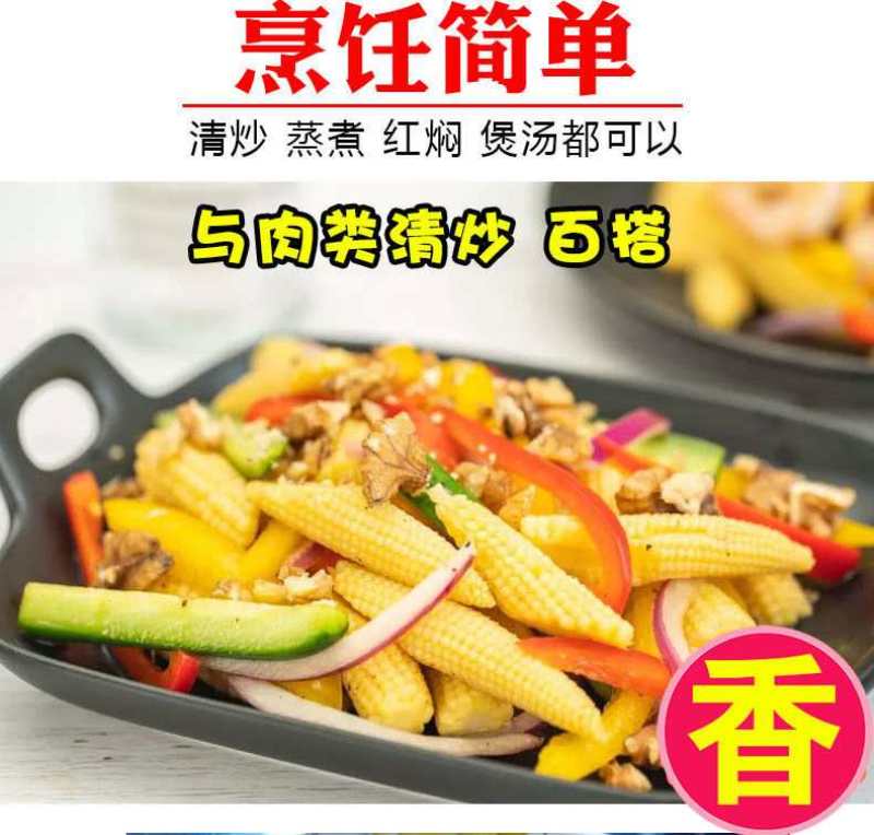 玉米笋广东省徐闻县精品玉米笋产地直销品种优质