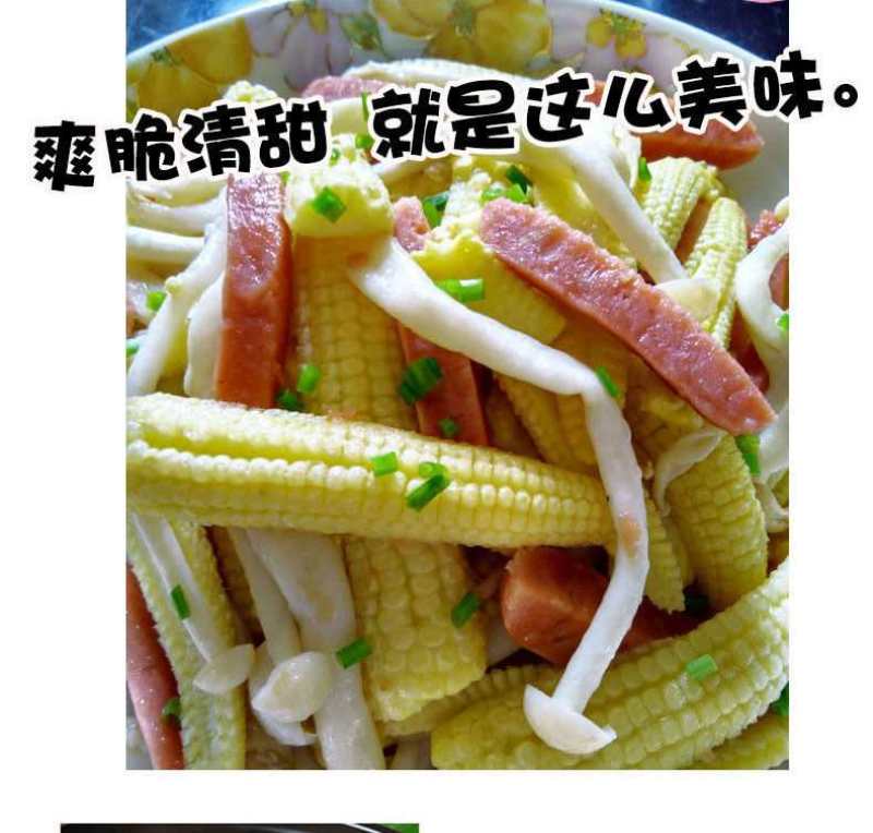 玉米笋广东省徐闻县精品玉米笋产地直销品种优质