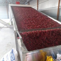 大量出售通货，精品艳椒819干椒，九成干，900干椒
