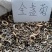 金盏菊种子庭院花卉四季易种景观绿化金盏花室内户外花坛开花