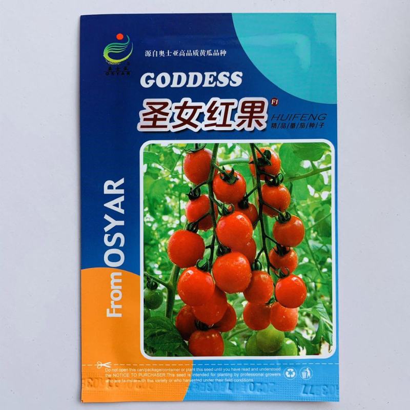 番茄种子圣女红果小番茄种子大红色抗病性强硬度高产量高