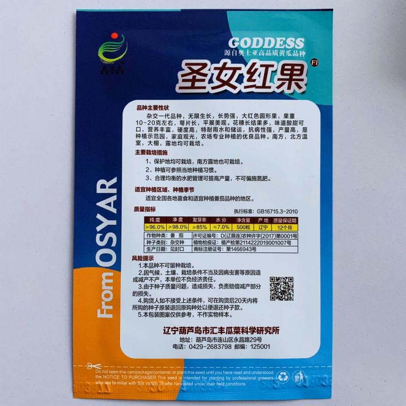 番茄种子圣女红果小番茄种子大红色抗病性强硬度高产量高