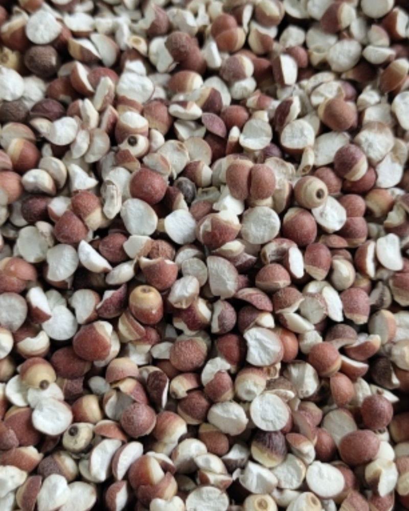 【热卖】芡实米肇庆芡实米新货粒粒饱满50斤起批不包邮