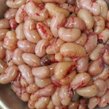 大量供应鸡腰子，非速冻，一级品质