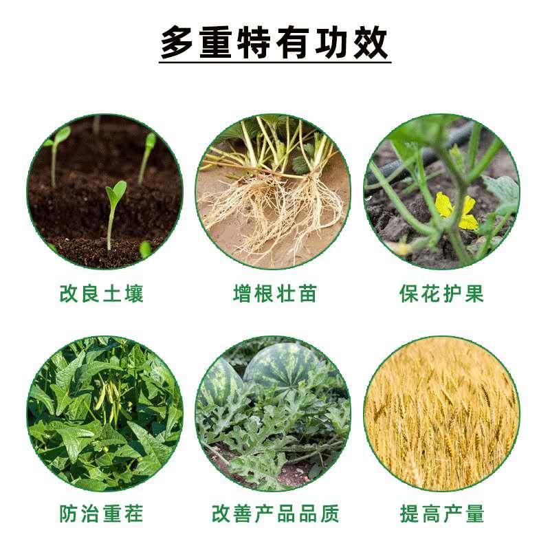 EM菌剂Em菌调土壤防死棵促生根发酵剂厂家直发