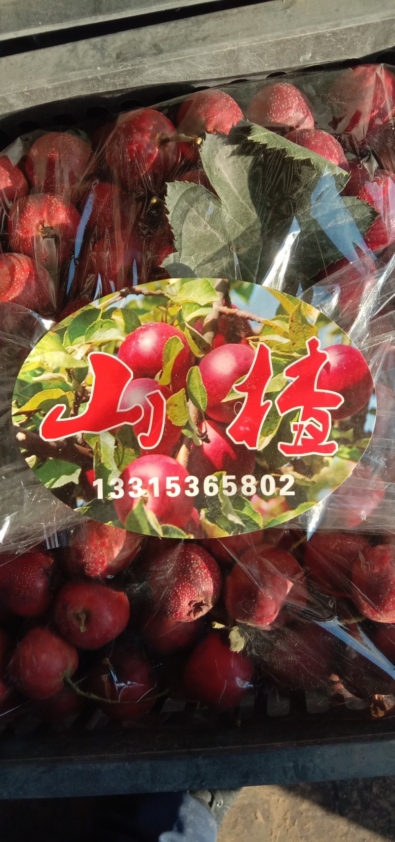 山楂热卖中，个大口感好
