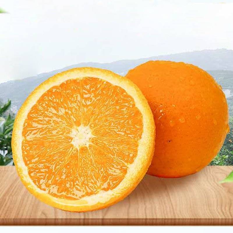 十斤锦蜜冰糖橙，甜橙，新品种，纯甜不酸冰糖橙