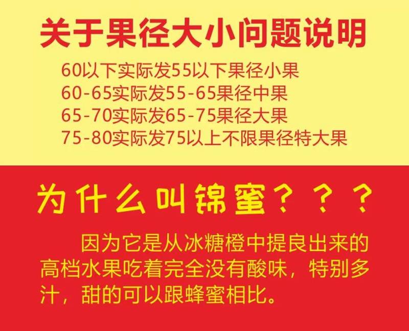 十斤锦蜜冰糖橙，甜橙，新品种，纯甜不酸冰糖橙