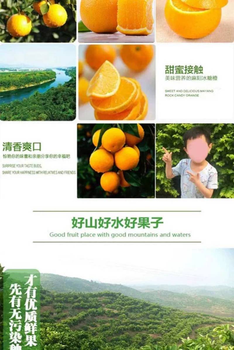十斤锦蜜冰糖橙，甜橙，新品种，纯甜不酸冰糖橙