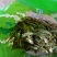 小鱼干500克海鲜干货小公鱼海燕鱼小鱼仔小咸鱼干渔自晒