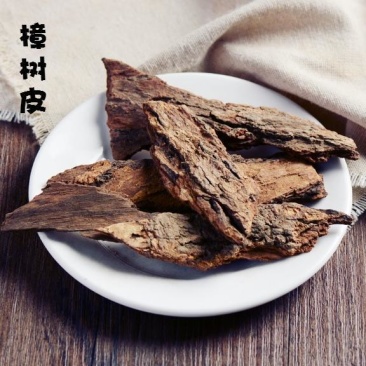 樟树皮，道地药材，质优价实，品质保证，药典标准，一公斤起