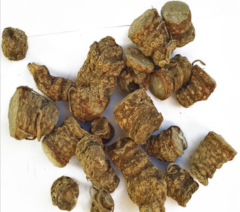 雪里见，道地药材，质优价实，品质保证，药典标准一公斤起批