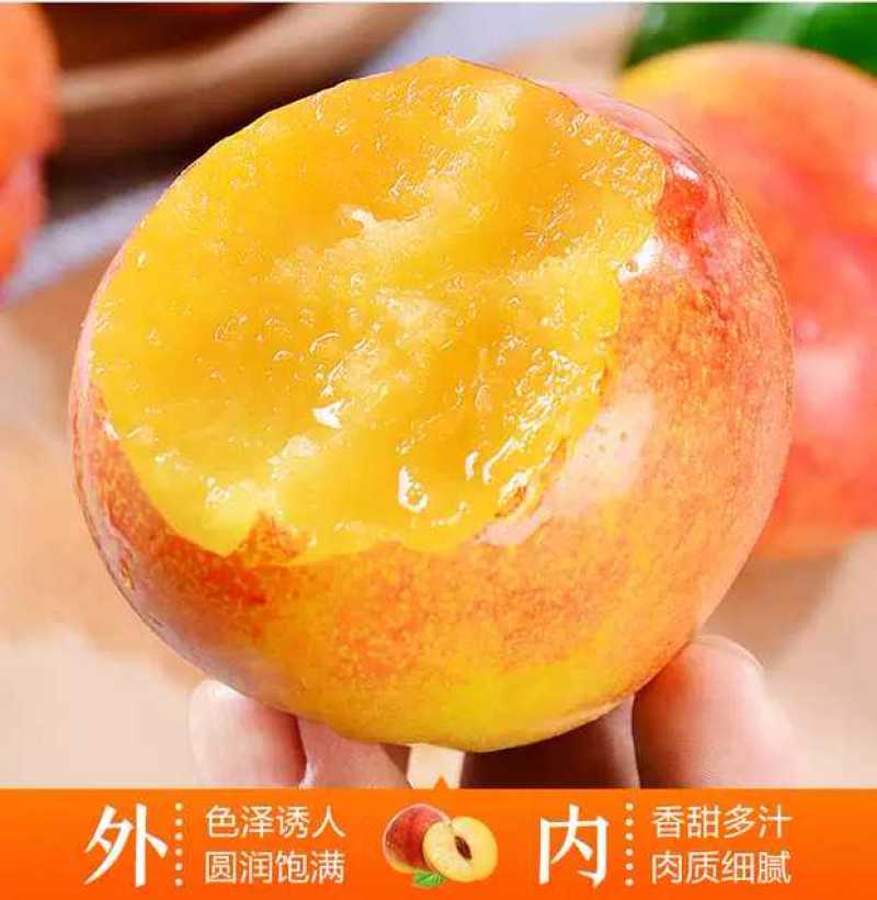 黄金奈李，个大，甜度高1，颜色金黄，基地直供，品质保证
