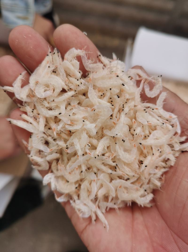精品淡干虾皮，煲汤做菜辅料，凉拌味美，餐桌必备