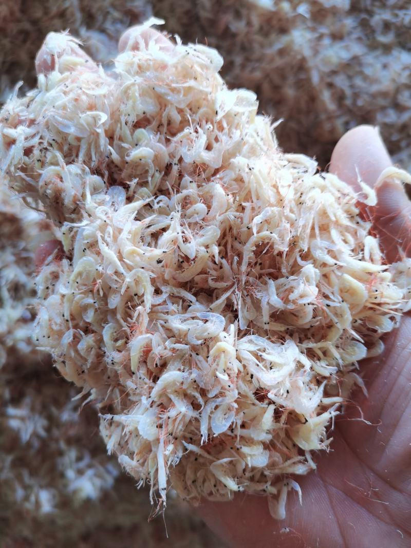 精品淡干虾皮，煲汤做菜辅料，凉拌味美，餐桌必备