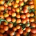 东方红颜色漂亮，血红的外皮