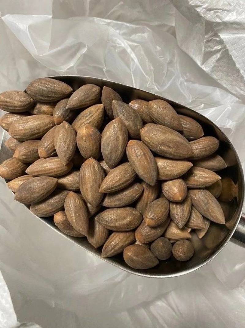 诸暨枫桥老树香榧罐装250克一件代发散装批发渠道对接包邮