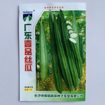 丝瓜种子广东壹品丝瓜种子色深绿肉质结实口感脆甜货架期长耐
