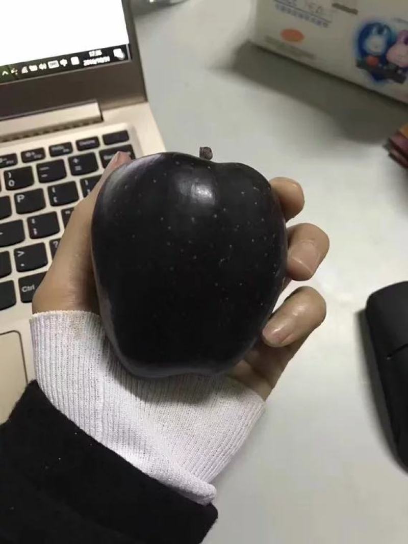 黑钻苹果，稀有品种，脆甜，基地直供包品种免费后期指导