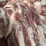牛腩新鲜冷冻牛腹腩大块牛肉