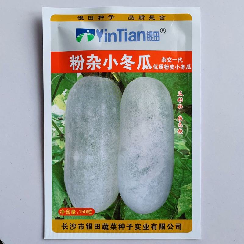 冬瓜种子粉杂小冬瓜种子新型小冬瓜早中熟抗性强
