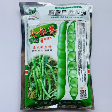 蚕豆种子七粒香大田专用品种种子一代杂交品种基地种植专用品