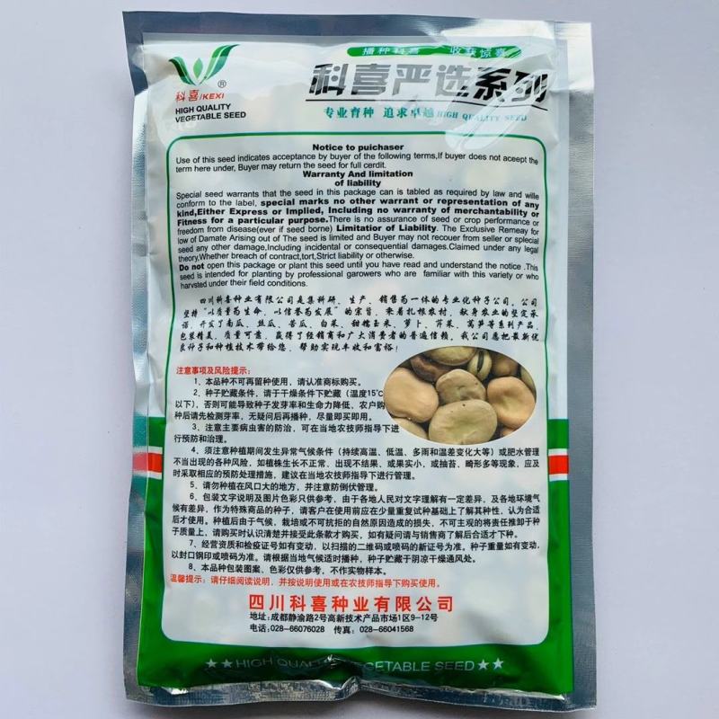 蚕豆种子七粒香大田专用品种种子一代杂交品种基地种植专用品