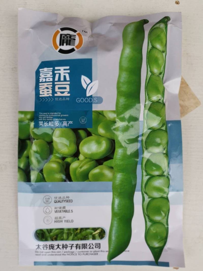 蚕豆种子七粒香大田专用品种种子一代杂交品种基地种植专用品