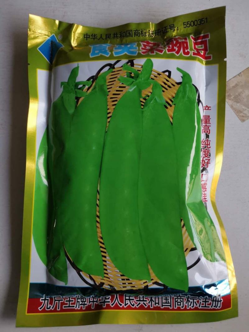蚕豆种子七粒香大田专用品种种子一代杂交品种基地种植专用品
