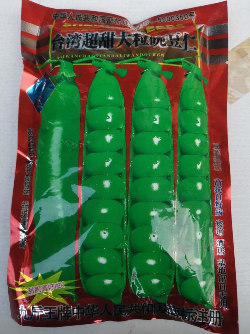 蚕豆种子七粒香大田专用品种种子一代杂交品种基地种植专用品