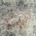 虾皮！淡干！无杂质！品质好！