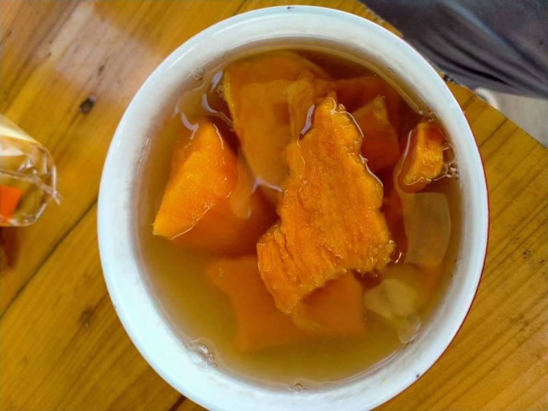 广东陆丰海边沙地湖北大叶红心红薯