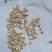 贵州95小薏米，大薏米，大量供应批零兼营，物美价廉